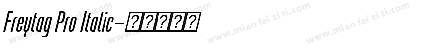 Freytag Pro Italic字体转换